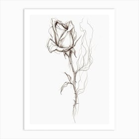 English Rose Burning Line Drawing 3 Art Print