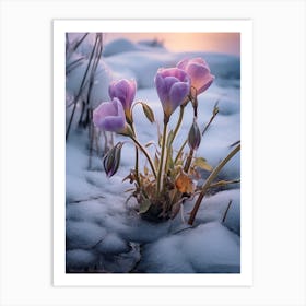 Beautiful Winter Flowers 46 Art Print