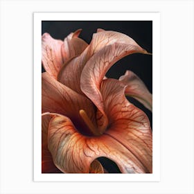 Orange Flower 4 Art Print