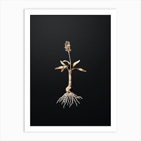 Gold Botanical Scilla Lingulata on Wrought Iron Black n.2802 Art Print