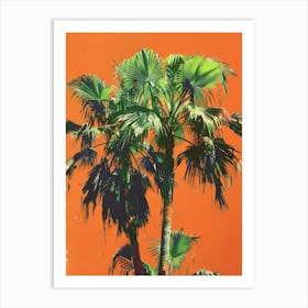 Palm Trees 45 Art Print