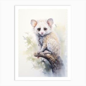 Light Watercolor Painting Of A Greater Glider 3 Art Print