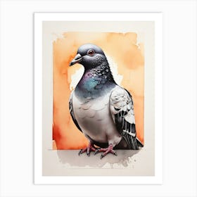 Pigeon 8 Art Print