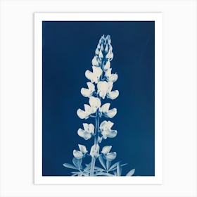 Lupine Art Print