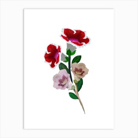 Gloxinia Bouquet Art Print
