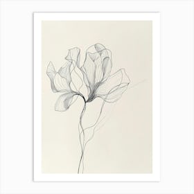 Peony 34 Art Print