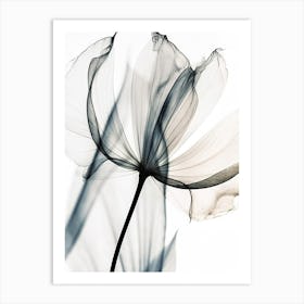 Black And White Flower Silhouette 5 Art Print
