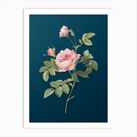 Vintage Pink Rose Turbine Botanical Art on Teal Blue n.0498 Art Print
