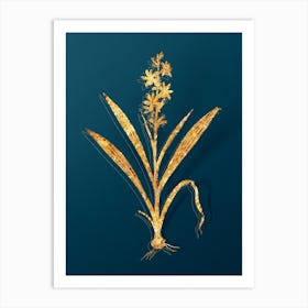 Vintage Wachendorfia Thyrsiflora Botanical in Gold on Teal Blue Art Print