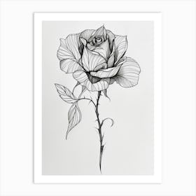 English Rose Black And White Line Drawing 37 Art Print