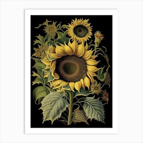 Sunflower 2 Floral Botanical Vintage Poster Flower Art Print