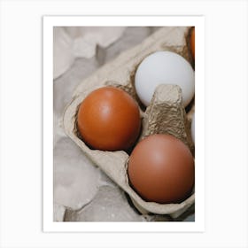 Eggs In A Carton 20 Art Print