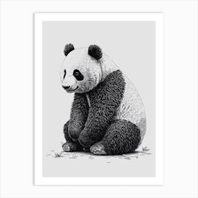 Funny Panda 1 Art Print