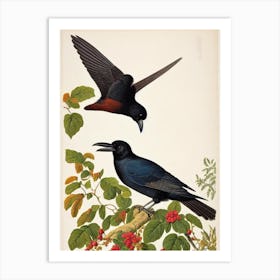 Raven James Audubon Vintage Style Bird Art Print