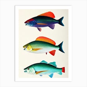 Rainbow Shark Vintage Poster Art Print