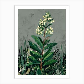 Lily Of The Valley 14 Art Print