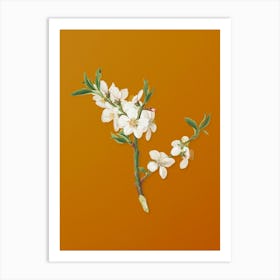 Vintage Almond Tree Flower Botanical on Sunset Orange n.0104 Art Print
