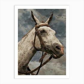 Horse With Bridle Art Print