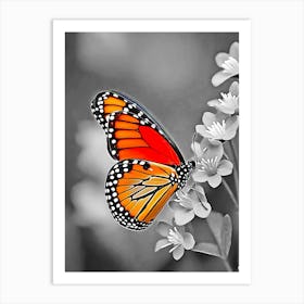 Butterfly On A Flower 2 Art Print