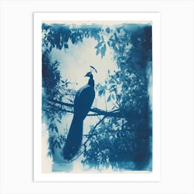 Cyanotype Inspired Peacock In The Tree 2 Art Print