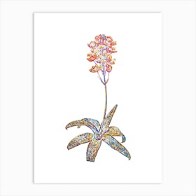 Stained Glass Sun Star Mosaic Botanical Illustration on White n.0271 Art Print