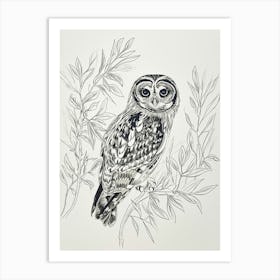 Collared Scops Owl Drawing 4 Art Print