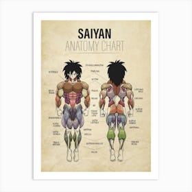 Broly Anatomy Dragon ball Super Vintage Art Print