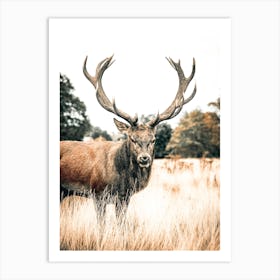 Large Bull Elk Art Print