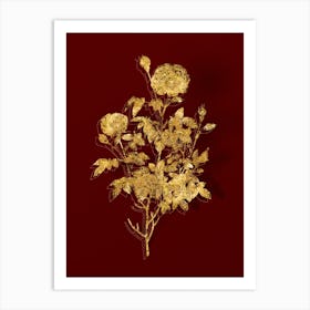 Vintage Burgundy Cabbage Rose Botanical in Gold on Red n.0102 Art Print