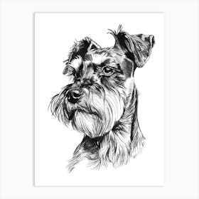 Miniature Schnauzer Dog Black & White Line Sketch 3 Art Print