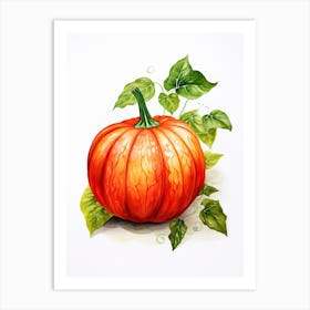 Red Kuri Squash Pumpkin Watercolour Illustration 2 Art Print