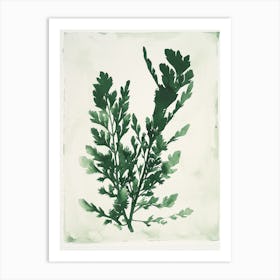 Green Ink Painting Of A Black Stem Spleenwort 4 Art Print