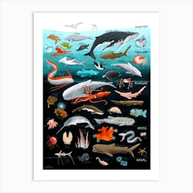 Ocean Zones Art Print