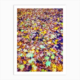 Carpet Of Fallen Leaves Art Print