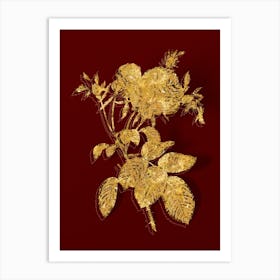 Vintage Pink Cabbage Rose de Mai Botanical in Gold on Red n.0259 Art Print