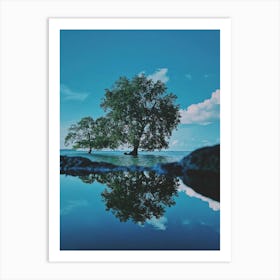 Tree Reflected In Water Art Print