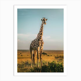 Giraffe 1 Art Print