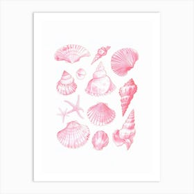 Pink Sea Shells Coastal Beach House Art Print