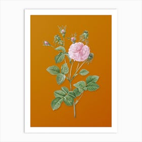 Vintage Pink Agatha Rose Botanical on Sunset Orange n.0804 Art Print