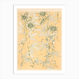 Vintage Pattern, Owen Jones               Art Print