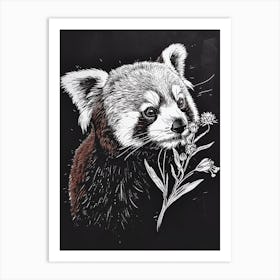 Red Panda Sniffing A Flower Ink Illustration 3 Art Print