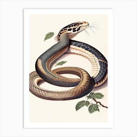 Egyptian Cobra Snake 1 Vintage Art Print