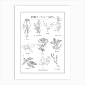 Kitchen Herbs Chart Black And White Art Print