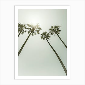 Vintage Palm Trees In The Sun Art Print