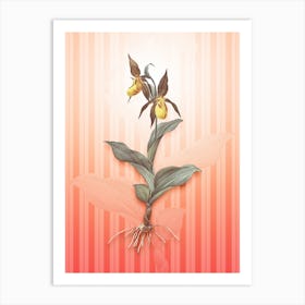 Lady's Slipper Orchid Vintage Botanical in Peach Fuzz Awning Stripes Pattern n.0039 Art Print