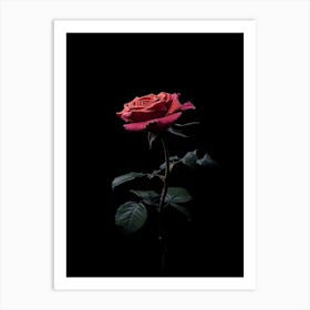 Rose On A Black Background 14 Art Print