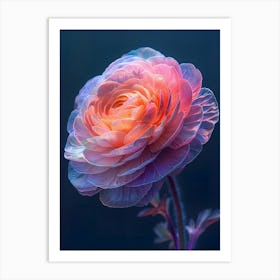 Peony Flower Art Print