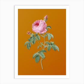 Vintage Provence Rose Bloom Botanical on Sunset Orange n.0765 Art Print