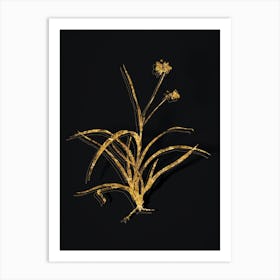 Vintage Spiderwort Botanical in Gold on Black Art Print