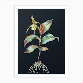 Vintage Yellow Lady's Slipper Orchid Botanical Watercolor Illustration on Dark Teal Blue n.0602 Art Print